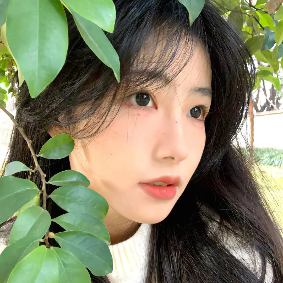 哥特萝莉侦探事件簿