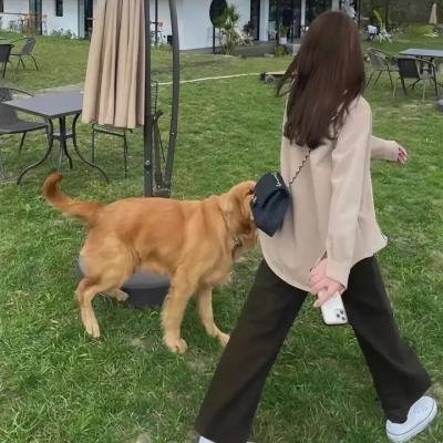 笔仙3